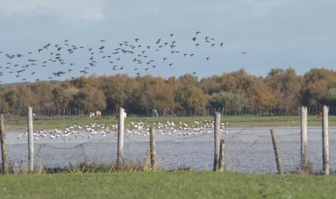 Contaminación acuíferos Andalucía Doñana